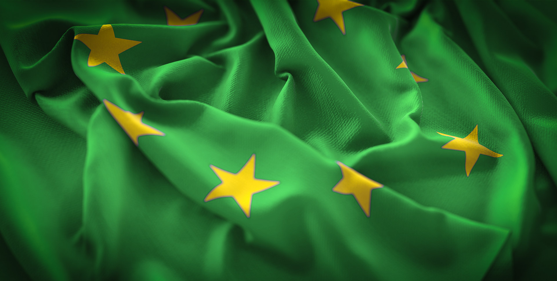 Wie der Green Deal gelingen kann